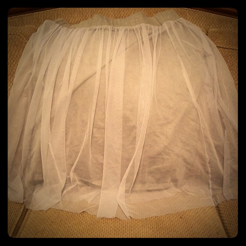 A silver grey skirt from Torrid